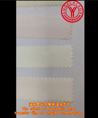 Gypsophila Heat Transfer Film